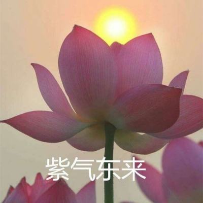 全民挪一挪红包版下载